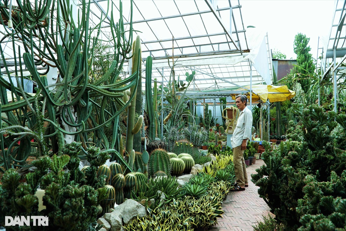 Thâm nhập khu vườn hơn 2.500 loài xương rồng của lão nông miền Tây - 3 Thâm nhập khu vườn hơn 2.500 loài xương rồng của lão nông miền Tây - 3