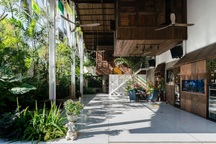 Vẻ đẹp không ngờ của ngôi nhà "tổ chim" tràn ngập cây xanh ở Sài Gòn