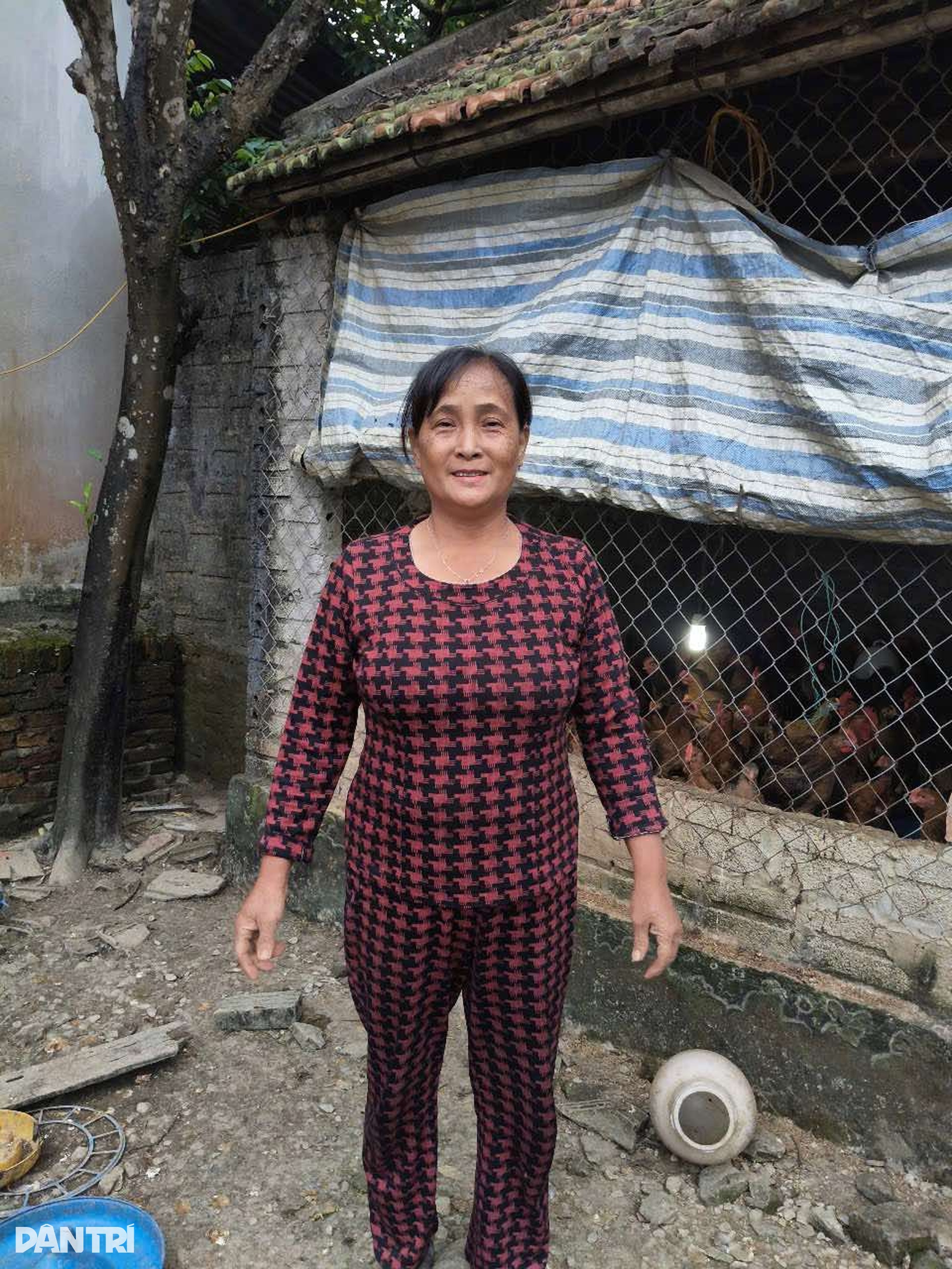 Thoát nghèo nhờ chính sách vay vốn ngân hàng để phát triển chăn nuôi - 1 Thoát nghèo nhờ chính sách vay vốn ngân hàng để phát triển chăn nuôi - 1