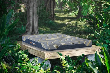 "Giấc ngủ kim cương" trong giai đoạn bình thường mới