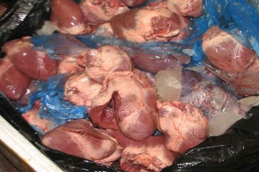 Từ 1/10, ngừng tạm nhập tái xuất phủ tạng động vật 