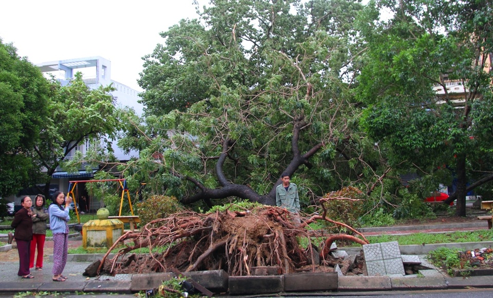 Tàu chìm, nhà sập, trường học tốc mái, cây xanh ngã đổ trong bão số 13 - 18 Tàu chìm, nhà sập, trường học tốc mái, cây xanh ngã đổ trong bão số 13 - 18