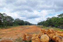 Đề nghị xét đến quy hoạch cao tốc trước khi xây sân bay Măng Đen