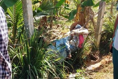 Vướng vào hàng rào thép gai nhiễm điện, vợ chồng tử vong