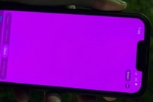 Nhiều người dùng iPhone 13 gặp lỗi màn hình hồng