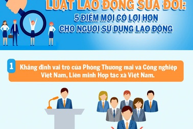 Luật Lao động sửa đổi: 5 điểm mới có lợi cho người sử dụng lao động