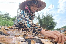 Đắk Nông: Hái “lộc rừng” mùa mưa, bỏ túi nửa triệu đồng mỗi ngày