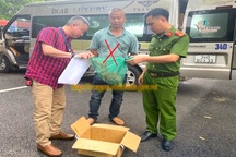 Bắt đối tượng vận chuyển 2 cá thể culi từ Khánh Hòa ra Hà Nội tiêu thụ