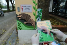 Hà Nội: Độc đáo những bốt điện “mặc áo mới”