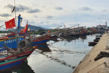 Phân bổ nguồn vốn 400 tỷ đồng nâng cấp cơ sở hạ tầng nghề cá