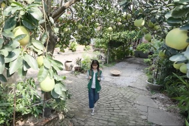 Cảnh đẹp Hà Nội trong phim "Sống để yêu thương" khiến khán giả xuýt xoa