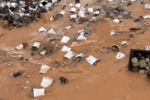 Nước lũ cuốn trôi vườn sen đá tiền tỷ ở Đà Lạt, chủ vườn bất lực khóc ròng