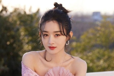 Triệu Lệ Dĩnh từng bị chê "ít học" và tranh cãi về trình độ học vấn của sao