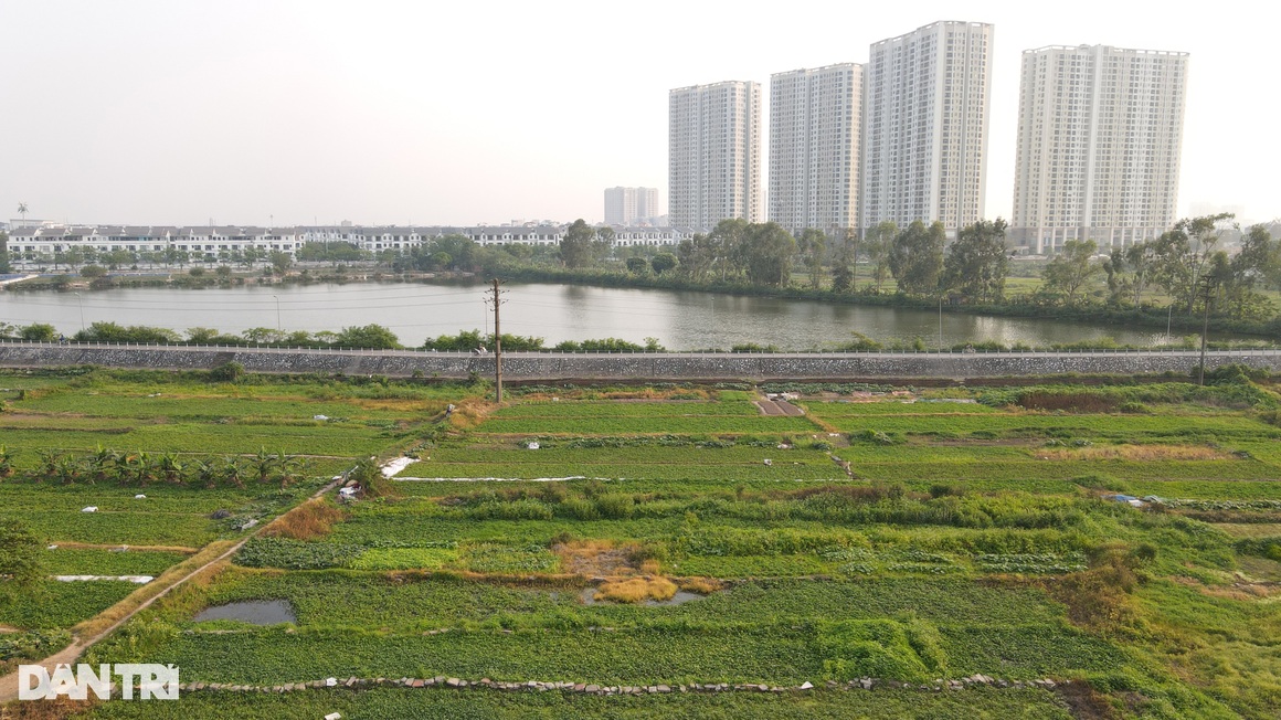 Cận cảnh siêu đô thị hiện đại nằm trên giấy của Tân Hoàng Minh - 12 Cận cảnh siêu đô thị hiện đại nằm trên giấy của Tân Hoàng Minh - 12