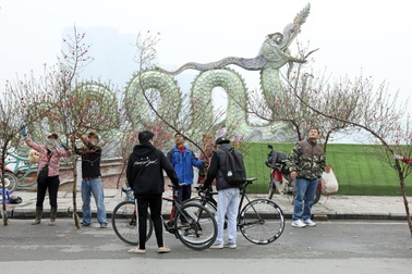 Người dân ùn ùn đổ về chợ hoa Lạc Long Quân sắm Tết