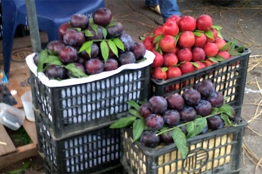 Mận khủng tím bầm: Đích thị hàng Tàu lừa dân Hà Thành