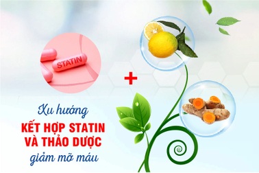 Kết hợp statin và thảo dược trong hỗ trợ giảm mỡ máu