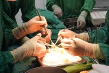 Phát hiện đường dây mua bán thận ở TPHCM, Sở Y tế lên tiếng