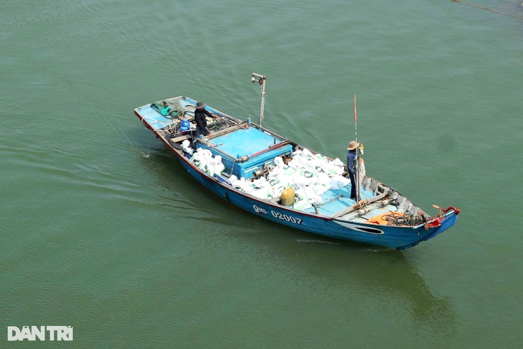 Trắng đêm cào ốc gạo, ngư dân bỏ túi bạc triệu - 1 Trắng đêm cào ốc gạo, ngư dân bỏ túi bạc triệu - 1