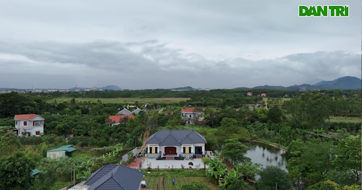 Video: Nữ nông dân hiện đại, xây dựng cơ ngơi tiền tỷ trên mảnh đất quê hương | Báo Dân trí