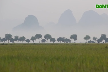 Ngày mùa ở "nơi tiên cảnh" giữa Hà Nội