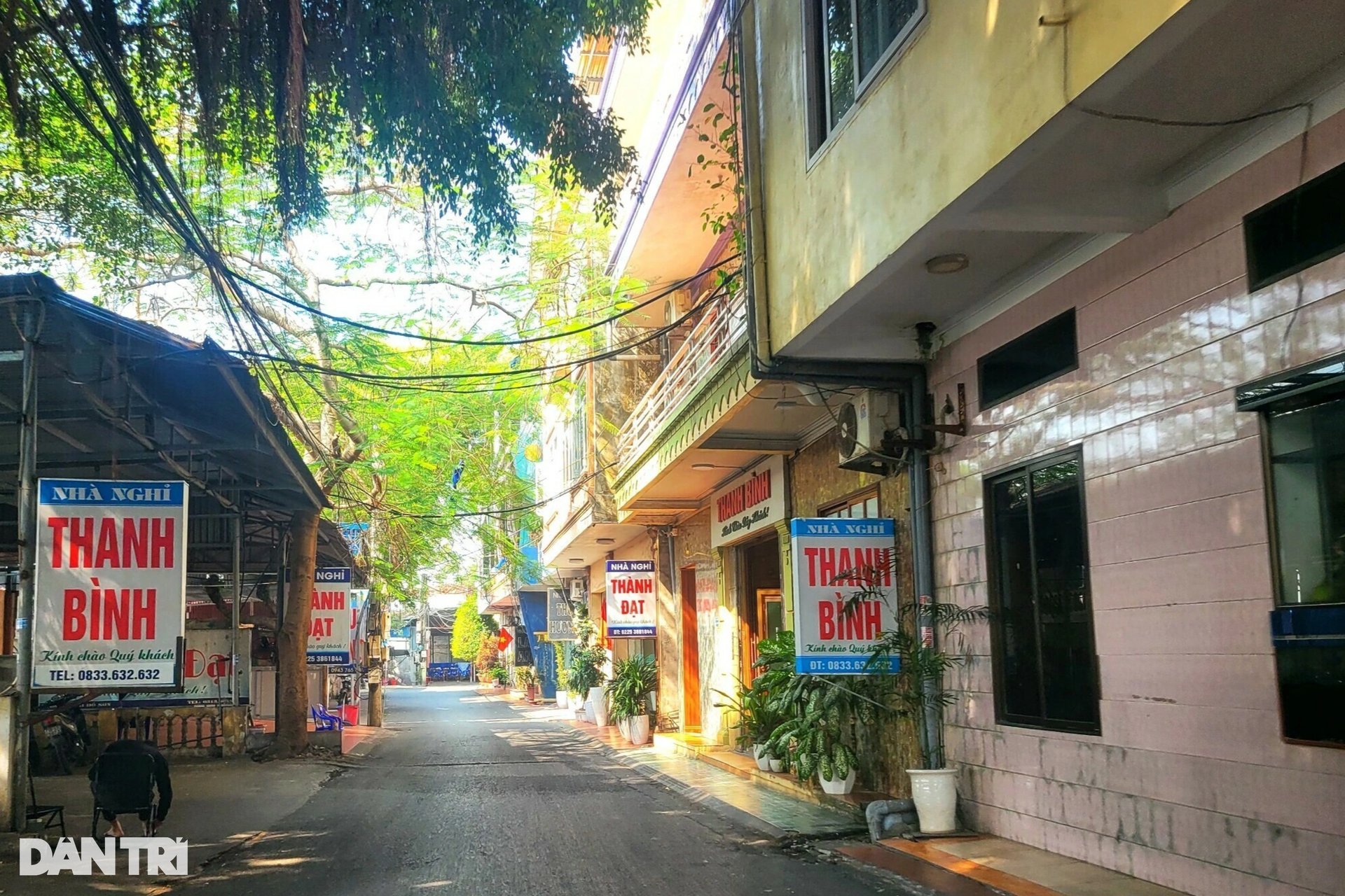 Hiện trạng khu đất 26ha ở Đồ Sơn sẽ được Hải Phòng đấu giá làm du lịch - 4 Hiện trạng khu đất 26ha ở Đồ Sơn sẽ được Hải Phòng đấu giá làm du lịch - 4