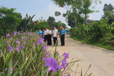 Phụ nữ - lực lượng tiên phong trong xây dựng nông thôn mới