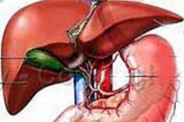 Bài thuốc quý chữa bệnh viêm gan A