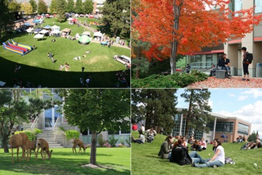 Những thay đổi mới nhất của Chính phủ Canada về chính sách việc làm - định cư năm 2015