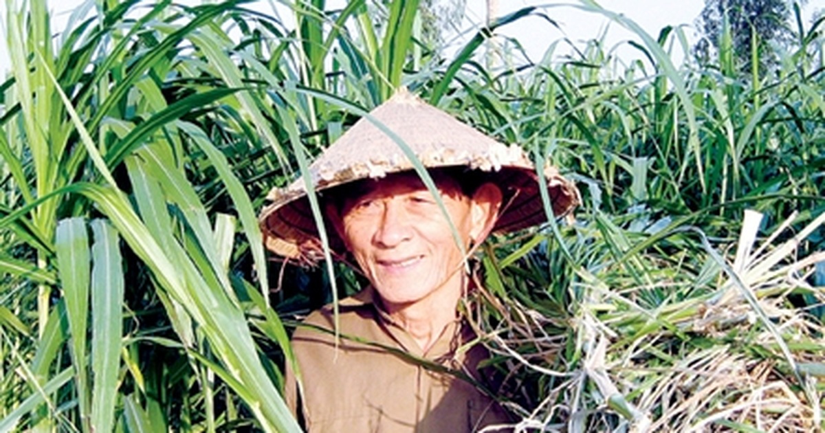 dantri.com.vn