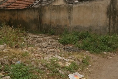 Vụ nam sinh viên giết lái xe ôm (kỳ 1): Án mạng giữa mùa đông