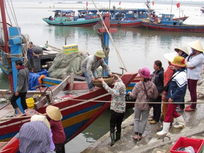 Niềm vui đầu năm của ngư dân cảng Cửa Sót