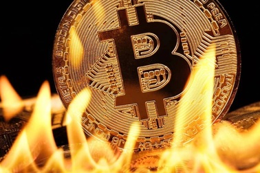 Điều gì khiến loạt "cá mập" tháo chạy khỏi bitcoin?