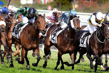 80% lợi nhuận từ cá cược sẽ đóng góp cho xã hội?