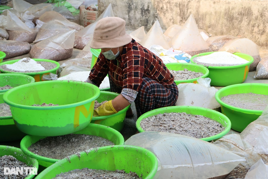 Ngư dân lao ra biển kiếm 800 triệu đồng, người ở nhà cũng... không kịp thở - 3