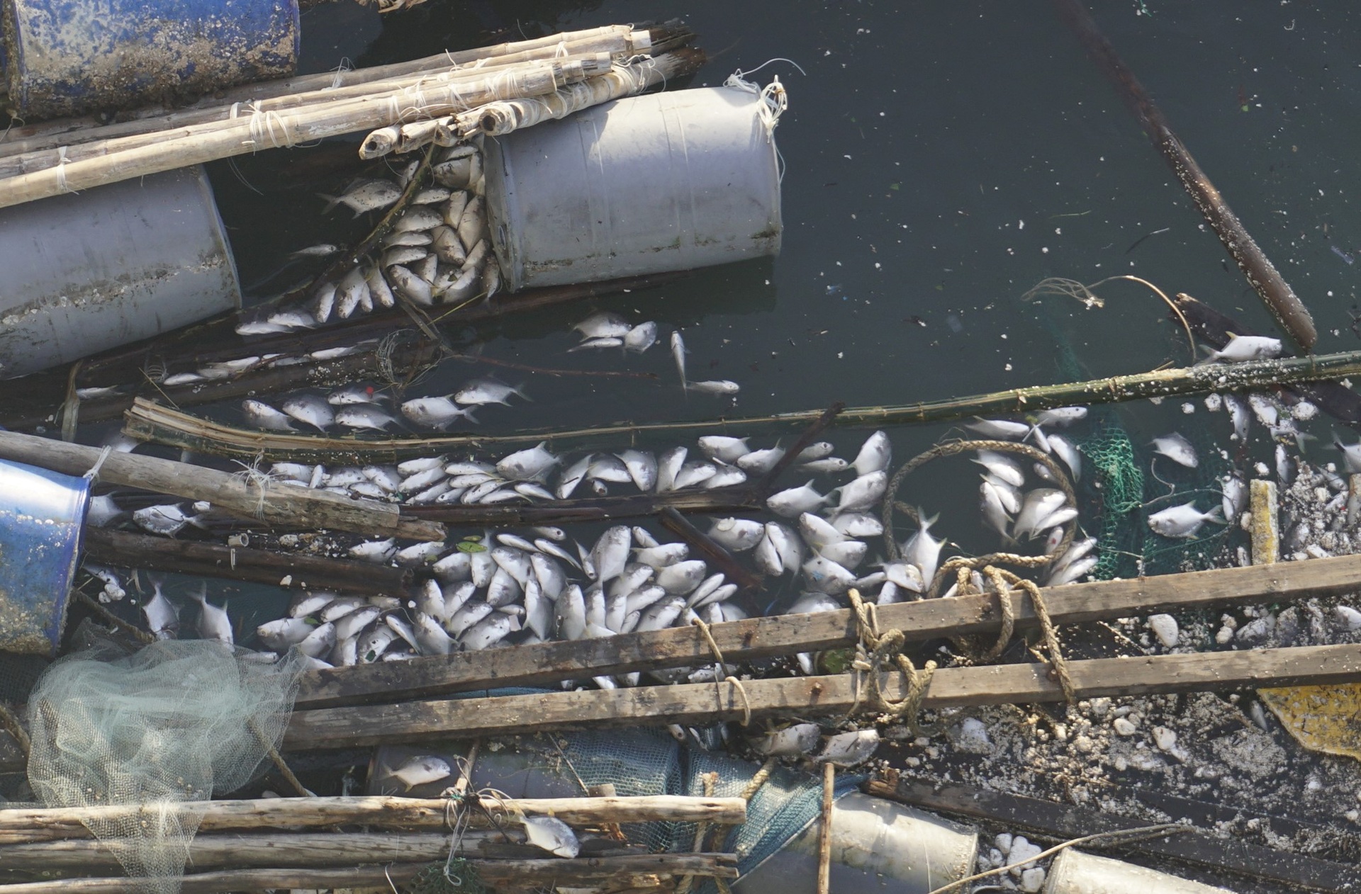 Ngư dân thất thần sau bão Kalmaegi: Trắng tay rồi, tan nát hết! - 4