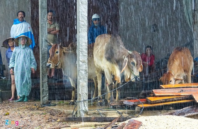 Sơ tán hàng nghìn người khỏi vùng nguy hiểm trước khi bão số 5 đổ bộ - Ảnh 2.