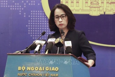 Việt Nam bảo hộ công dân tại Nhật Bản trước cảnh báo động đất, sóng thần