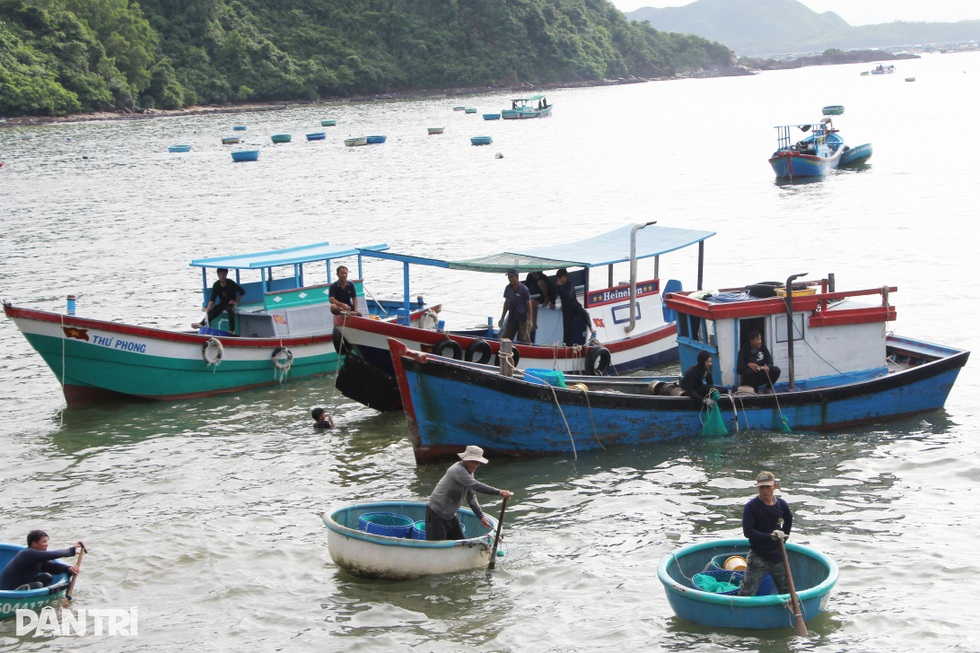 Làng “tỷ phú tôm hùm” hối hả trước bão Kalmaegi - 6 Làng “tỷ phú tôm hùm” hối hả trước bão Kalmaegi - 6