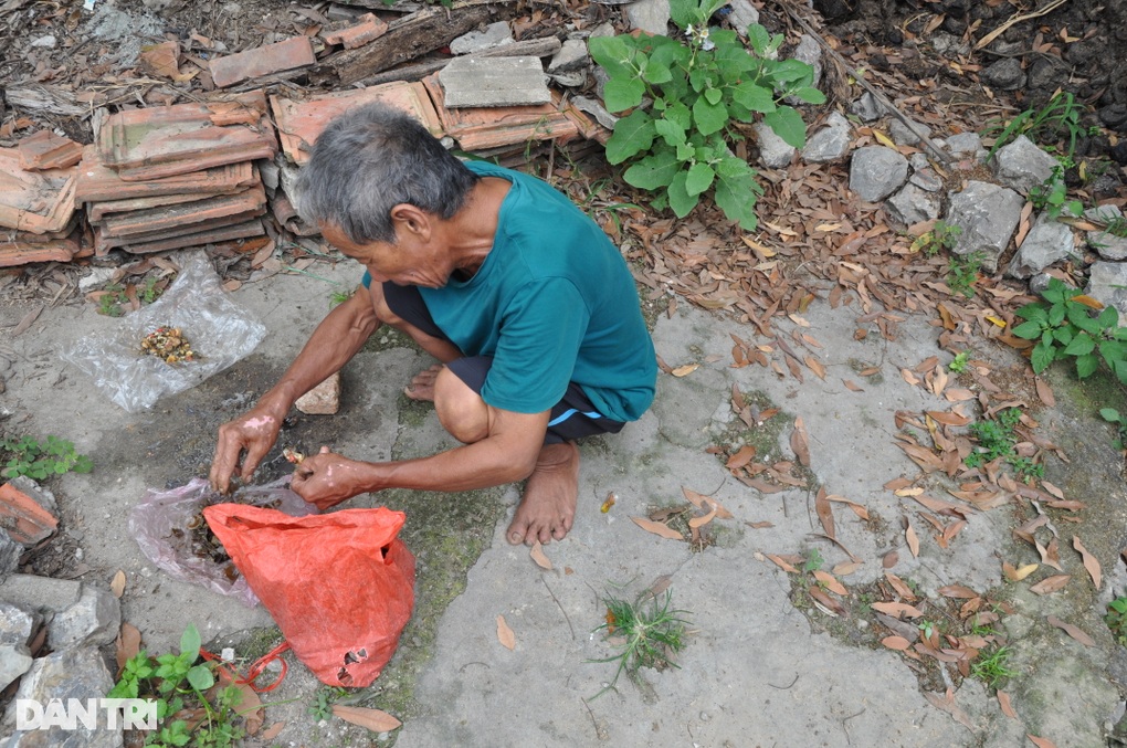 Xót thương cụ ông sống đơn độc trong đói nghèo ở Ninh Bình - 5 Xót thương cụ ông sống đơn độc trong đói nghèo ở Ninh Bình - 5