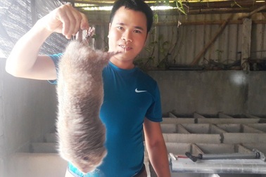 Chàng trai 9X thu nửa tỷ đồng mỗi năm nhờ nuôi dúi