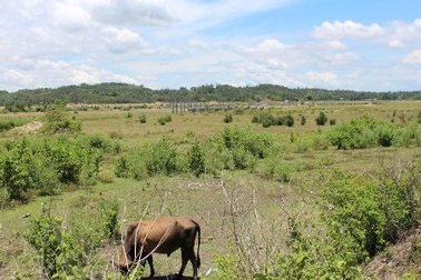 2,5 tỷ USD đầu tư nhà máy thép tại Dung Quất