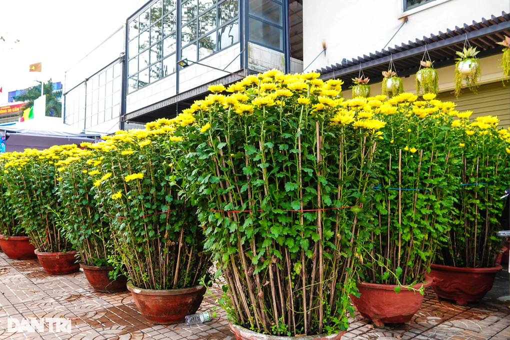 Tiểu thương chợ hoa chiều 30 Tết: Bán xả, bán lỗ, giá nào cũng bán - 4 Tiểu thương chợ hoa chiều 30 Tết: Bán xả, bán lỗ, giá nào cũng bán - 4