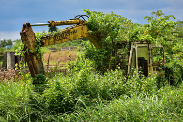 "Nghĩa địa" máy móc trên đại công trường cao tốc Bến Lức - Long Thành