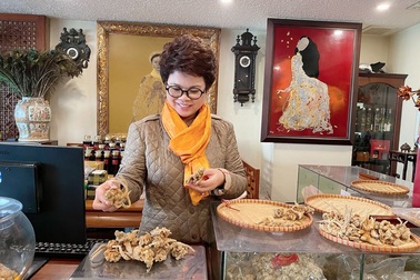 Doanh nhân Tuyết Nguyễn chia sẻ cách phân biệt tam thất thật giả