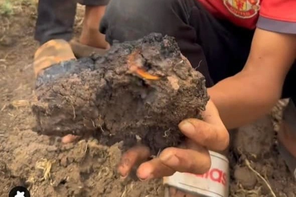 Menjelaskan maklumat tentang asap sawah dan pembakaran spontan di Gia Lai - 1 Làm rõ thông tin mặt ruộng bốc khói, tự cháy ở Gia Lai - 1