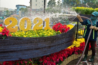 Chăm sóc hoa mùa xuân