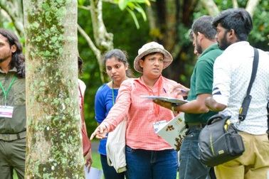 Một loài địa y mới được đặt tên theo người sáng lập Dilmah