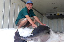 Chuyến biển đầu năm ngư dân câu được cá ngừ quý hiếm nặng gần 1 tạ