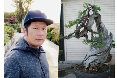 Nhà Bằng Kiều tại Mỹ bị trộm đột nhập "khoắng" cây cảnh siêu đắt đỏ